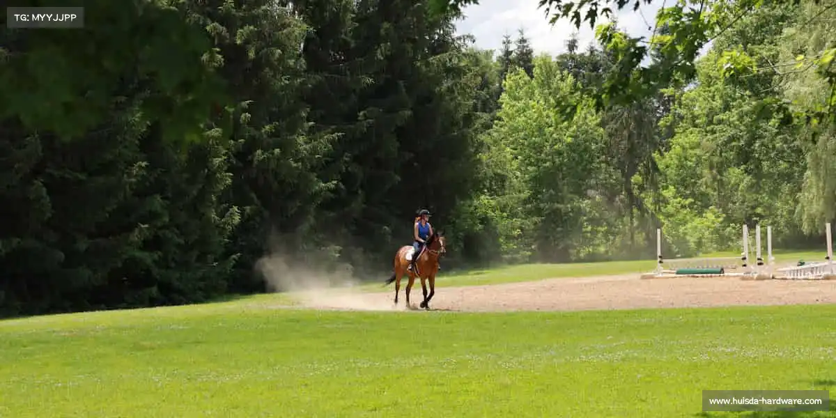 milan米兰🏃♂️运动不止,热血不息 —— 你的主场,由你定义!